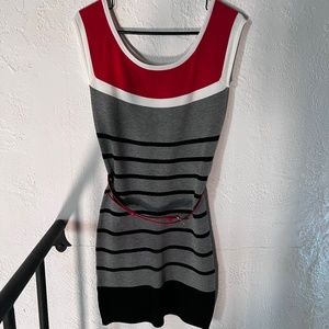 Cute grey and red mini!